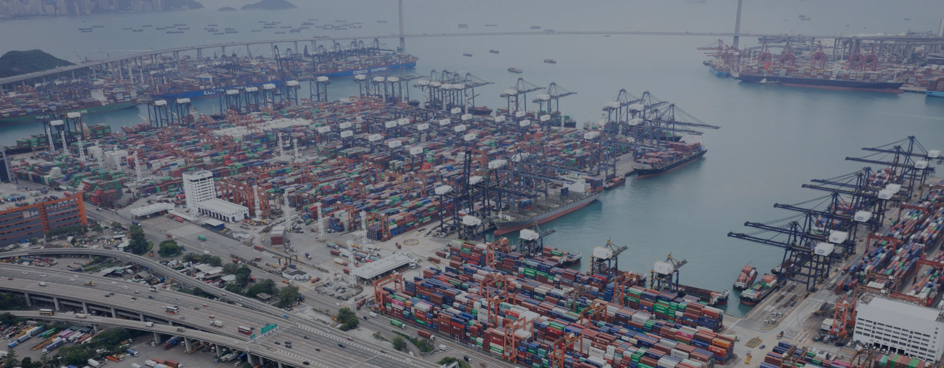 我们深谙本地市场，提供高性价比物流服务。